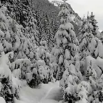 Haus Rosi * Sankt Leonhard im Pitztal