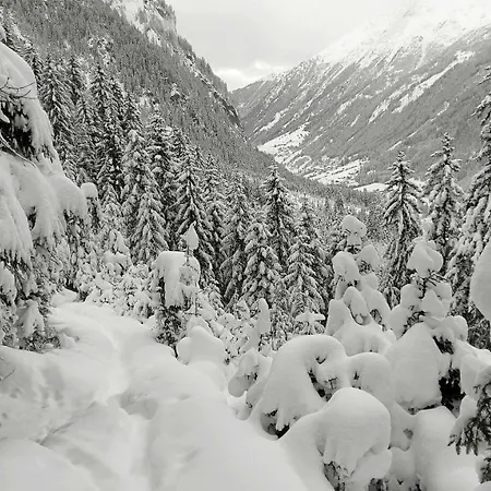 Haus Rosi Lejlighed *