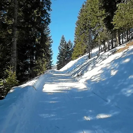 Haus Rosi Lejlighed Sankt Leonhard im Pitztal
