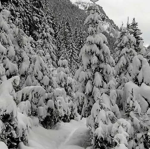 Haus Rosi * Sankt Leonhard im Pitztal