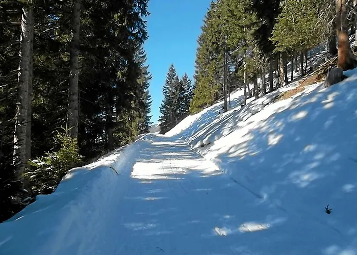 Haus Rosi Lejlighed Sankt Leonhard im Pitztal